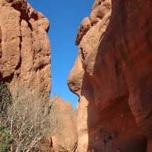 In the Canyon des Doigts du Singe